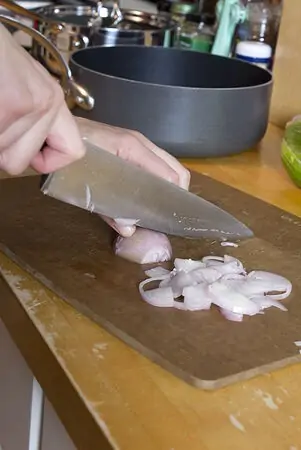 Chef's Knife cutting onions