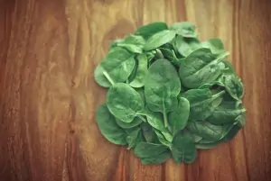 fresh baby spinach