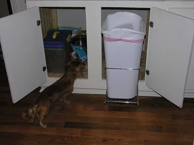 Stowing away your trash can can help keep Fido out of the garbage.