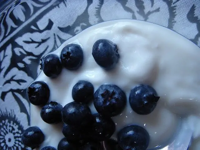 Blueberries and yogurt. It gets no better. 