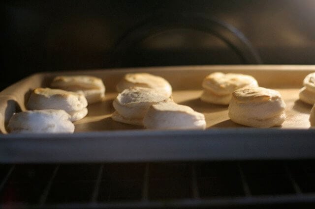 Do biscuits come out better in a clean oven? I say yes. 