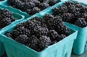 Buy all the blackberries. Then freeze them!