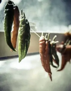 String up your chillies and use the sun to dry them out!