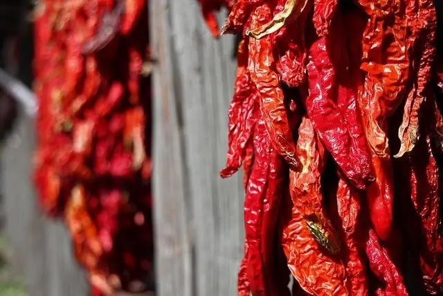 These chilis are on their way to dried perfection. And they look good too!