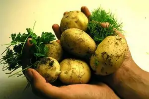 Keep potatoes longer with a few simple tips. 