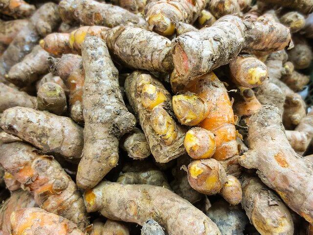 The raw turmeric root. Ready to make stuff bright yellow!