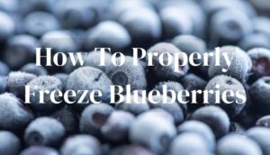 How To Properly Freeze Blueberries