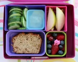 best containers for lunches