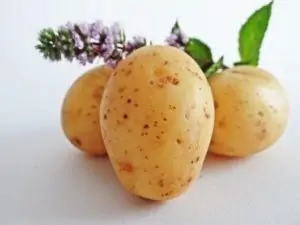 best potato peeler for home kitchens