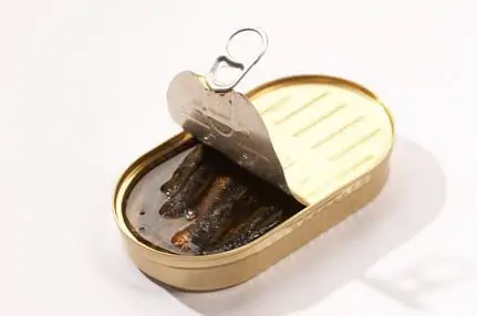 Opened Canned Sardines