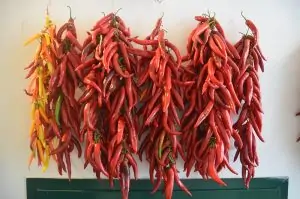 bunches of hot chili peppers hanging to dry against a white wall