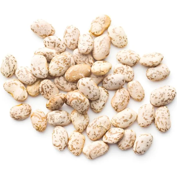 Borlotti Beans in a pile on a white background