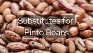 substitutes for pinto beans