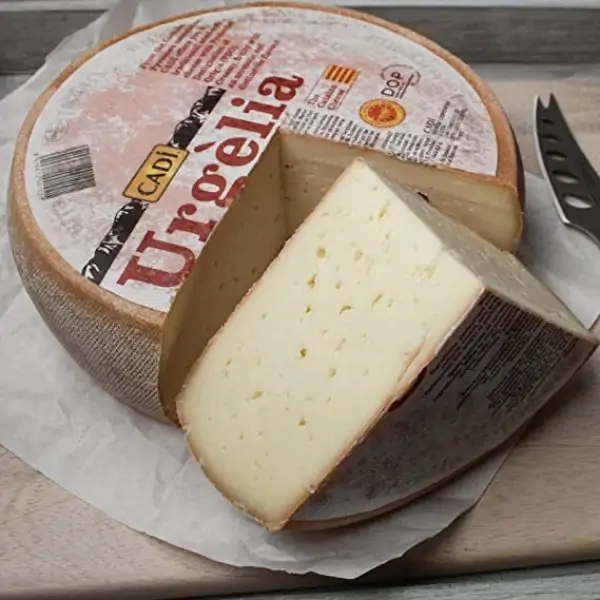Urgelia cheese sliced into a big chunk