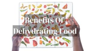 Benefits Of Dehydrating Food