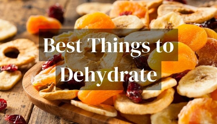 best things to dehydrate