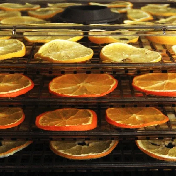 citrus fruit in a dehydrator