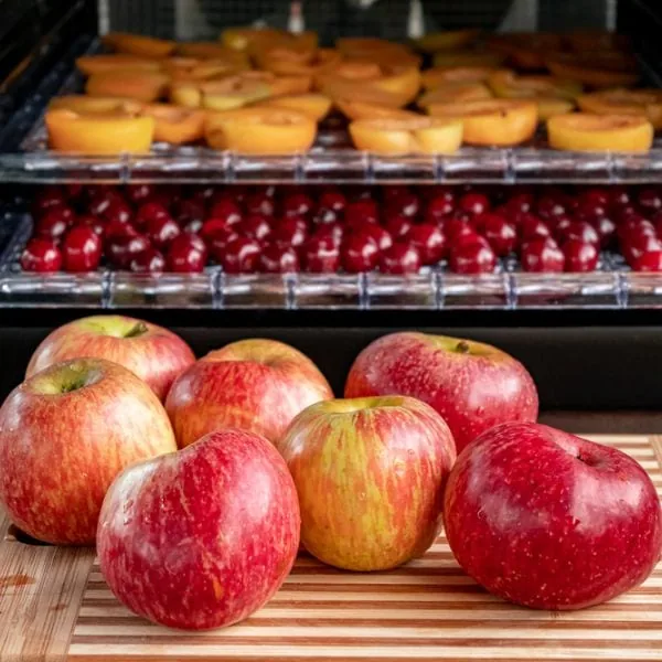 fresh red apples on a chopping board in front of a dehydrator