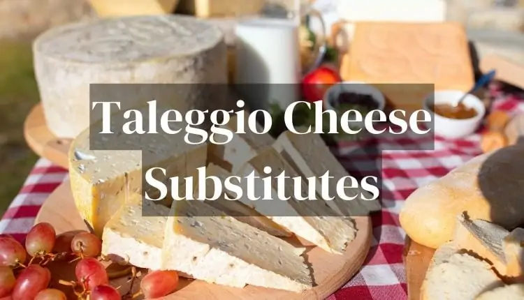 taleggio cheese substitutes