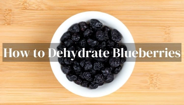 How to Dehydrate Blueberries