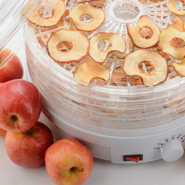 apple slices in a small electric dehydrator