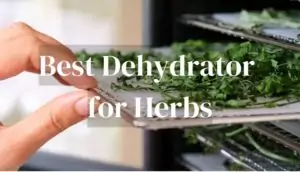Best Dehydrator for Herbs