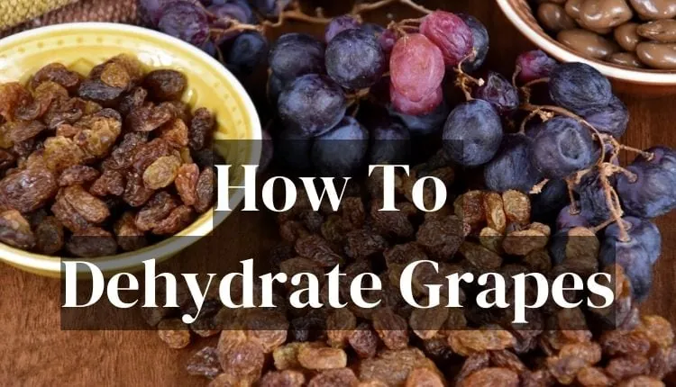 How To Dehydrate Grapes