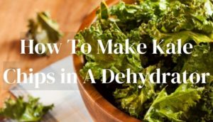 How To Make Kale Chips in A Dehydrator