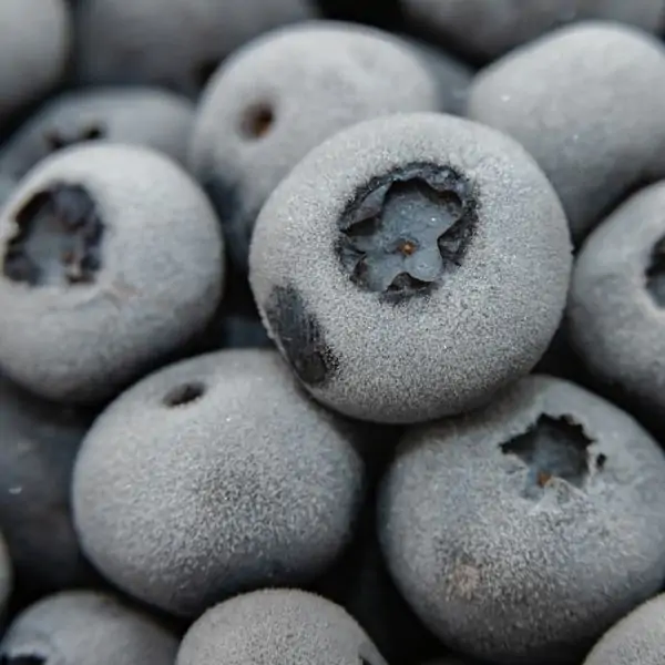 close-up of frozen blueberries