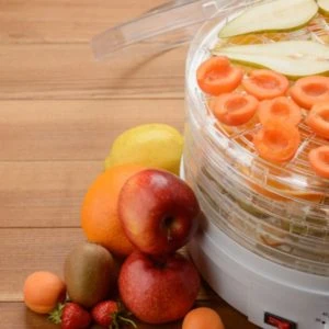 fresh fruit next to a stackable dehydrator