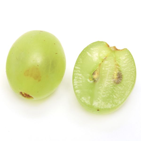 grapes cut in half