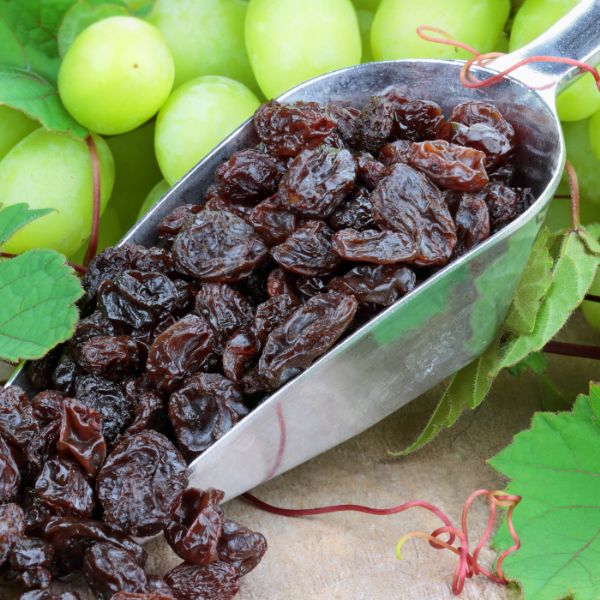 raisins and grapes metal shovel