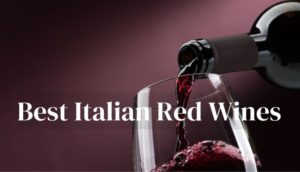 Best Italian Red Wines