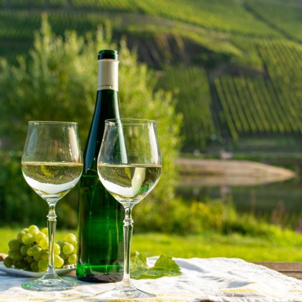 German quality Riesling wine made in the Mosel River valley
