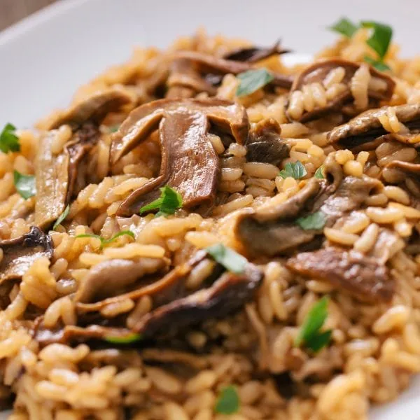Fresh Mushroom Risotto served on a white plate