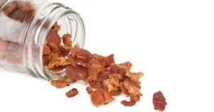 Are Bacon Bits Vegan