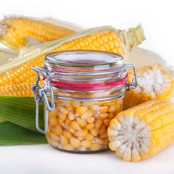 Corn kernels in a pickling jar
