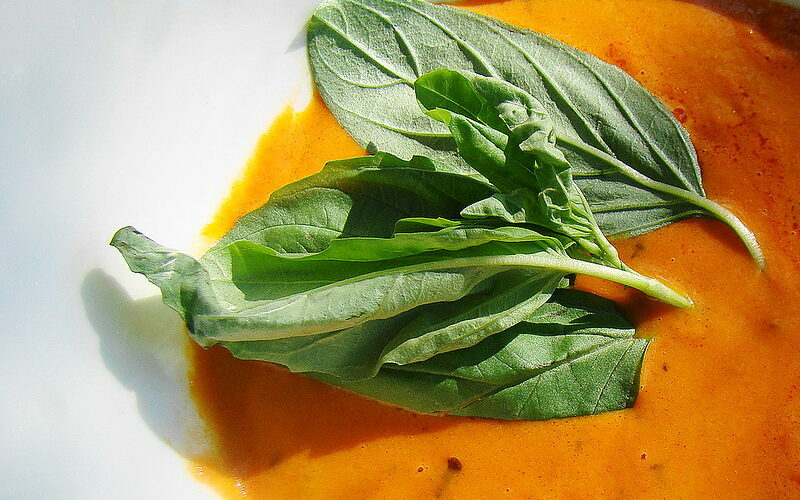 Roasted vegetable bisque on a white plate